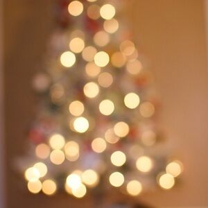 Meet your Posher, Autumn